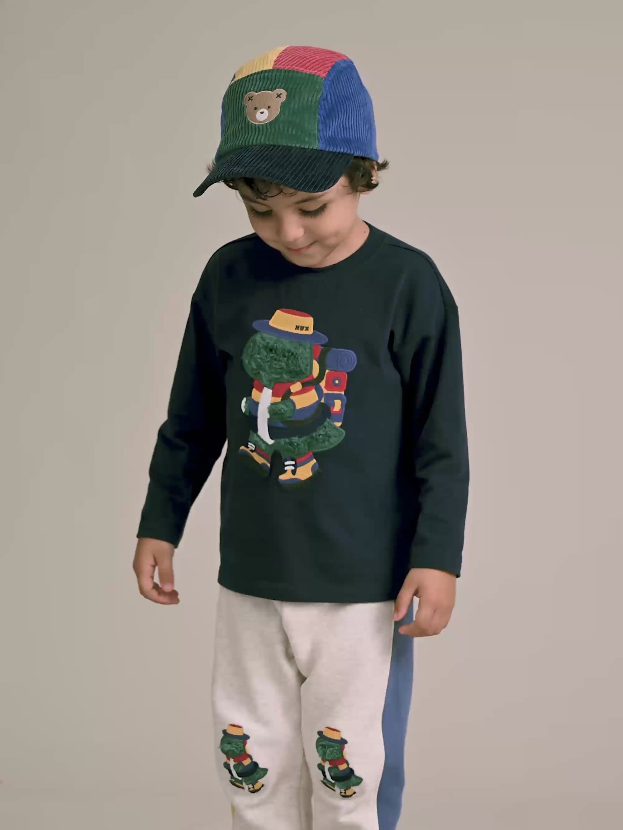 Camping Dino Drop Sleeve Top TOP LS Huxbaby